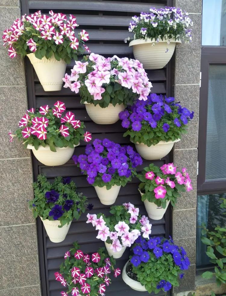 第七届园丁奖,第六届园丁奖奖励