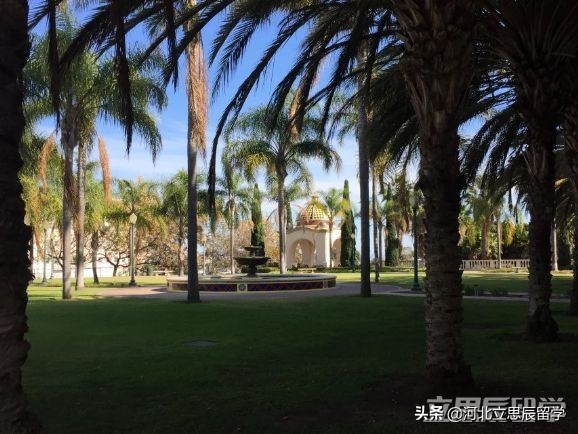 美国留学误区视频,2020年美国留学博士毕业该怎么办