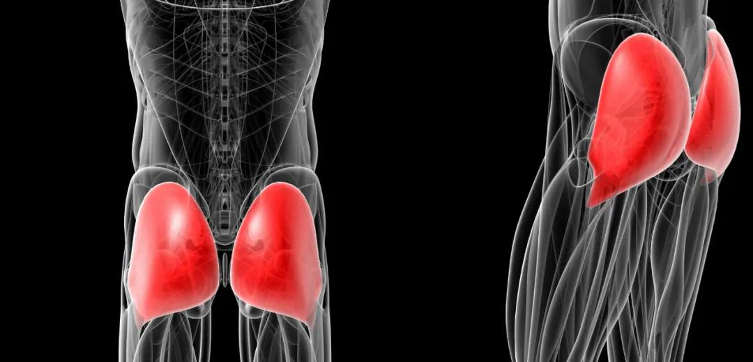 健身为什么臀越来越大,臀部两边不对称怎么改善