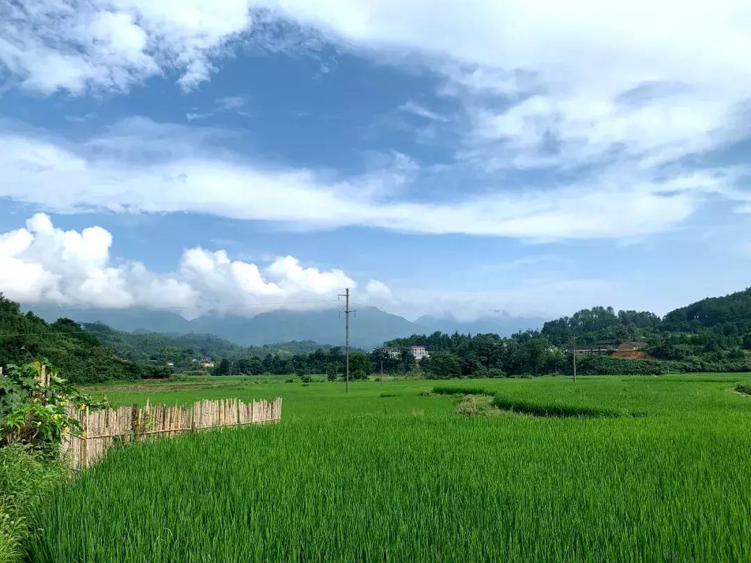 我的分享之：终身学习，终身美丽