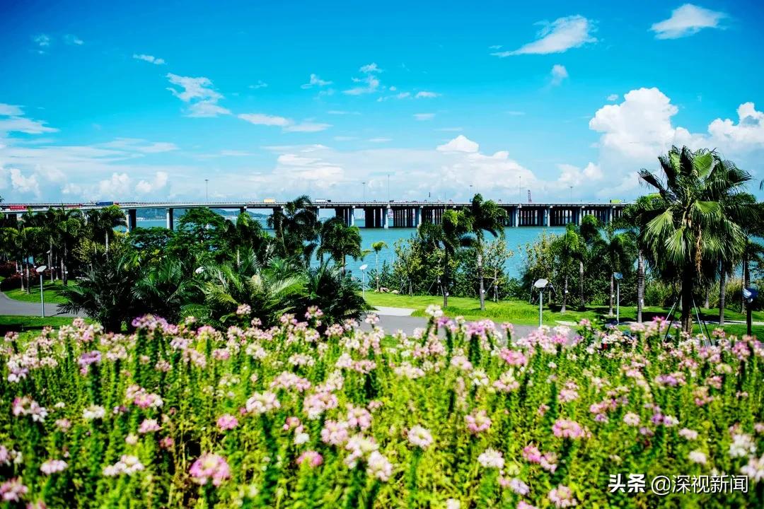 这就是幸福日本歌曲,这里是幸福拉萨