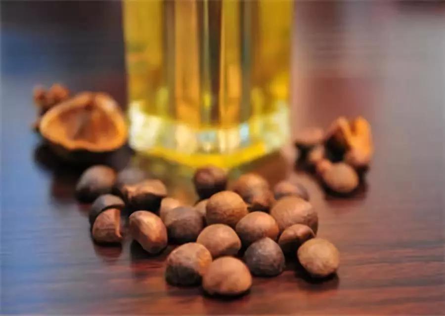 山茶油和茶树油有什么区别,山茶油很多是假的吗