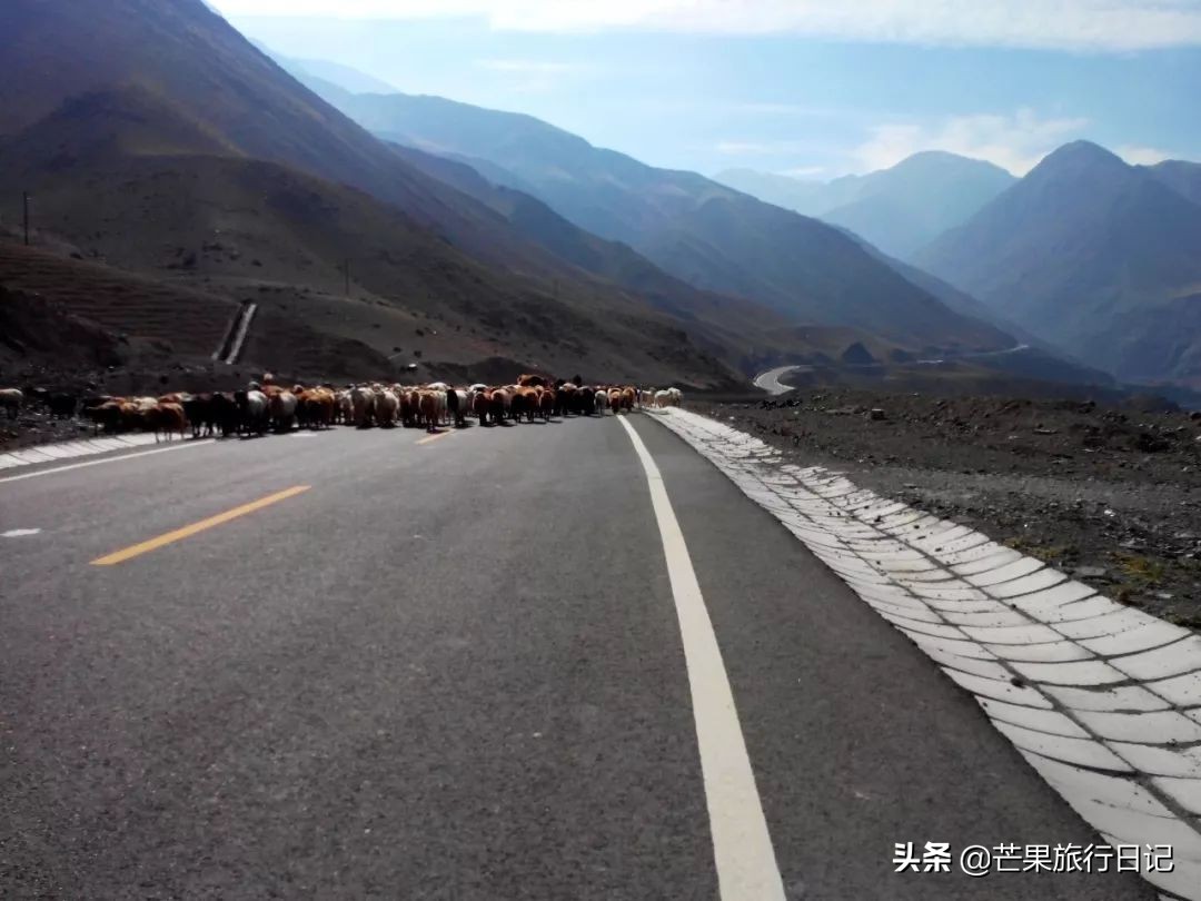 一月份从甘肃出发去新疆,从甘肃出发去新疆旅行