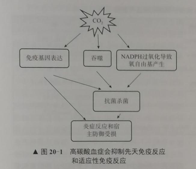 一项生命质量调控关键技术——容许性高碳酸血症技术
