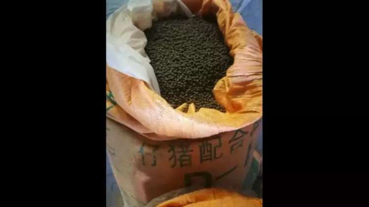 祖传哮喘秘方大全,治疗寒症哮喘的偏方