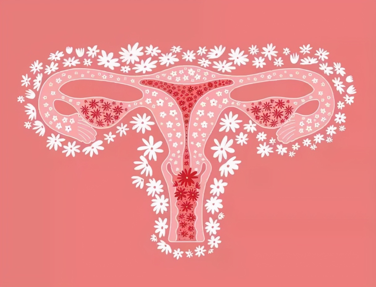 产后科普丨产后如何让子宫恢复得又快又好？