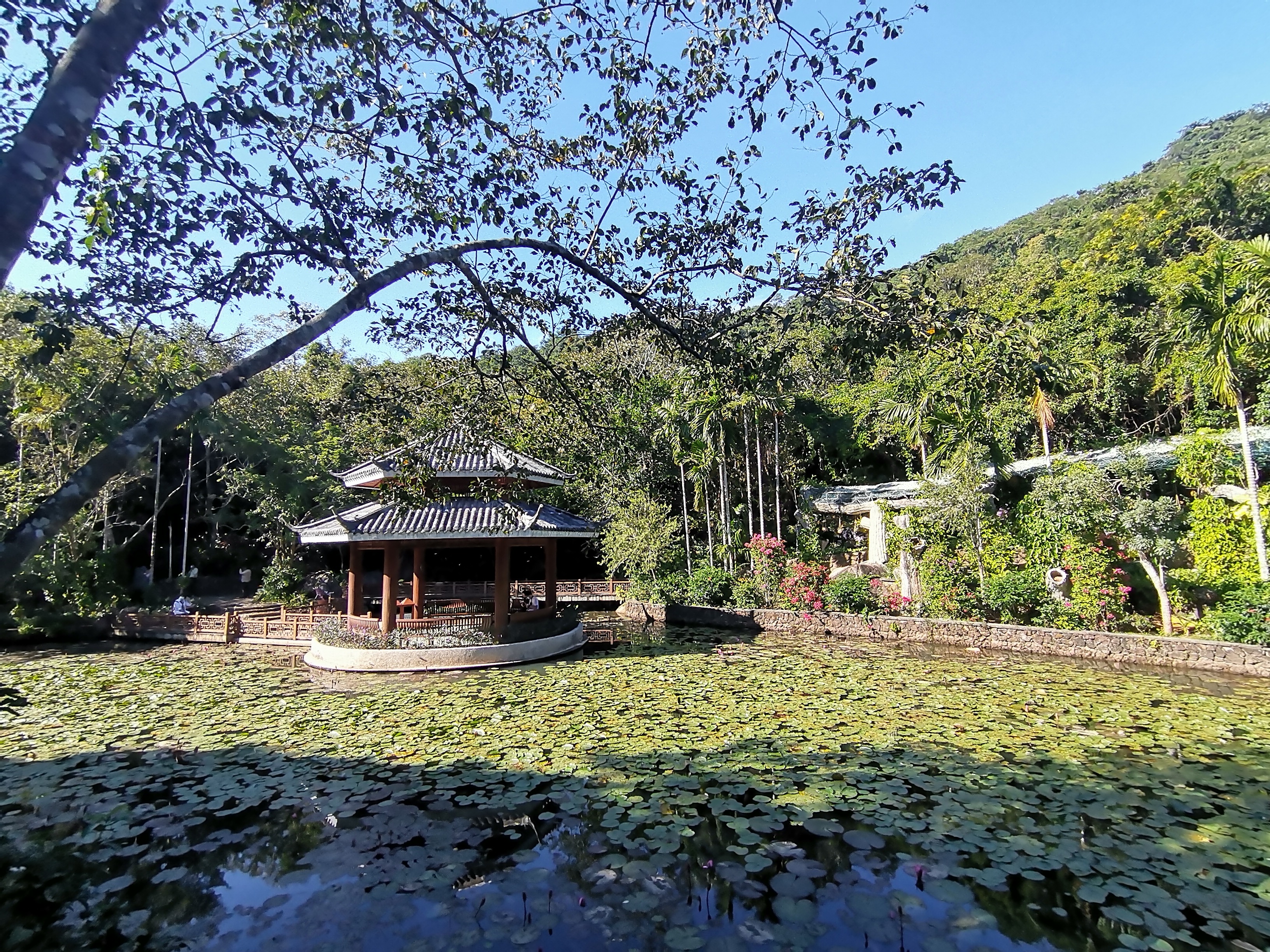 去了海南三亚,去完三亚热带森林公园可以逛哪里