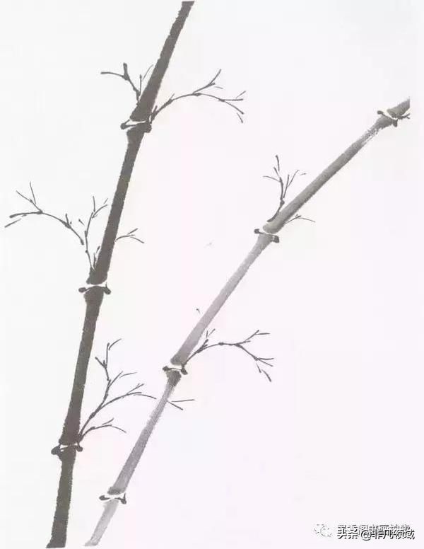 国画教程竹子的写意画法,国画写意竹子画法步骤