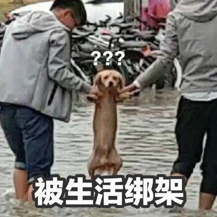 哥弟防风衣,哥弟的攻略