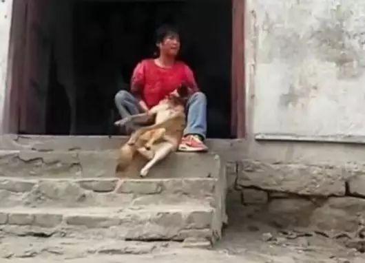 狗狗交配时强行将它们分开？脑子是个好东西，希望你能有！