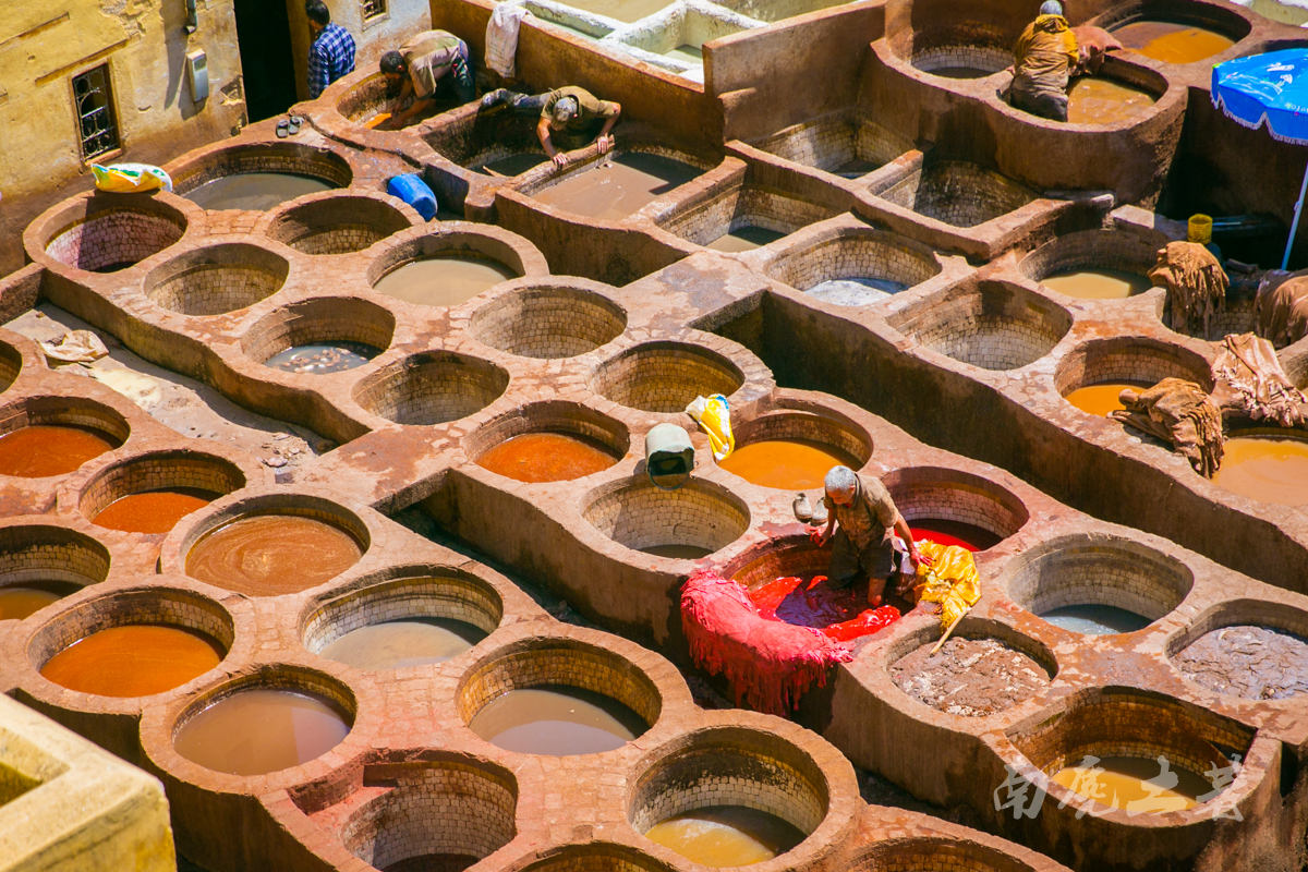 非洲这个城市这么臭，游人却每天排队参观