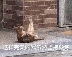 弹跳训练涉及的板块,弹跳训练计划之周一