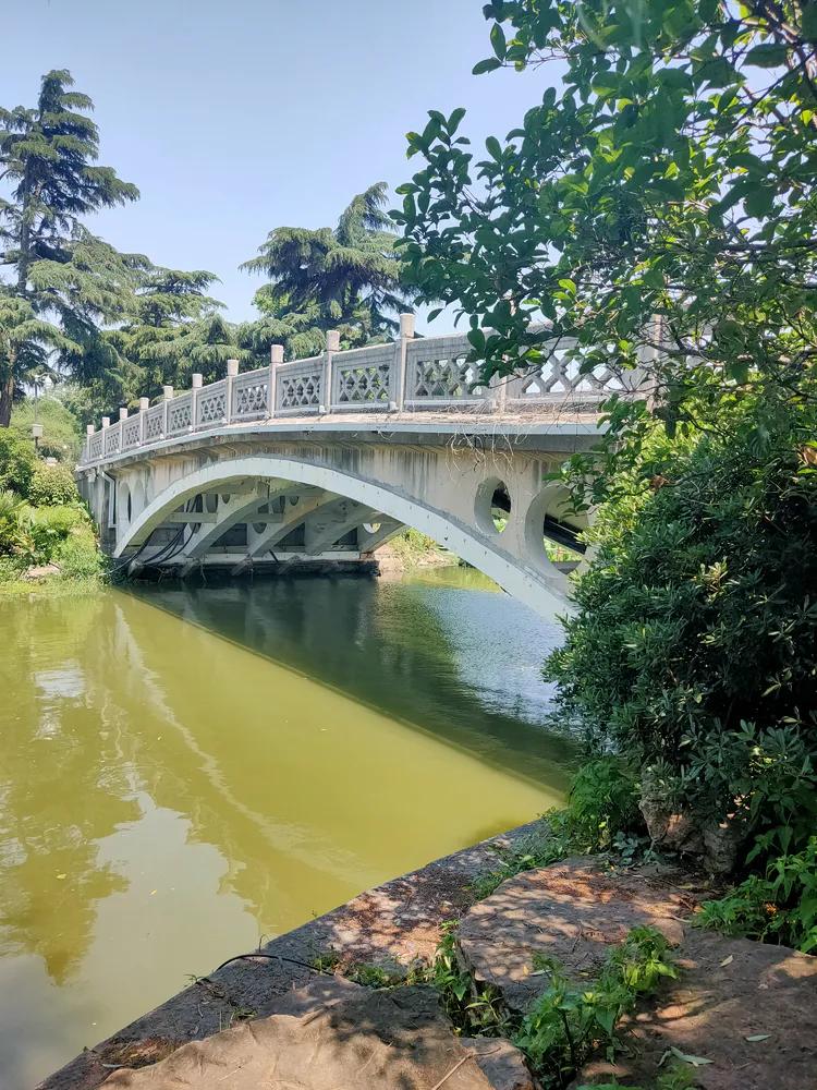 曾作为禁地，与外界隔绝二百六十多年的“玄武湖”，今日锣鼓喧天