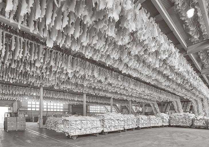 雪地靴踩到雪后有白痕怎么办,雪地靴踩到雪后发白怎么办