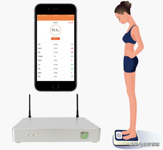 圆通快递的现状和趋势,圆通快递的发展现状及对策