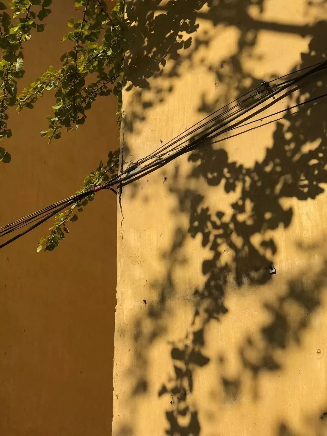 iphone原相机拍照磨皮修图,iphone好用的拍照修图软件