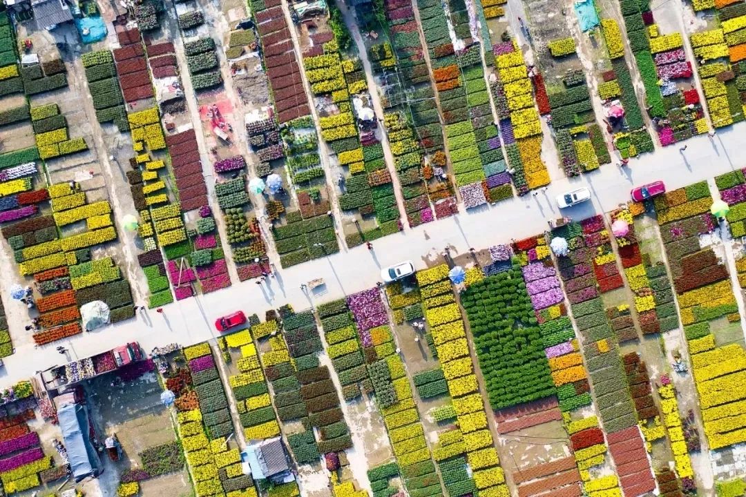 再见了相互嫌弃的老同学,再见了大别山原唱简谱