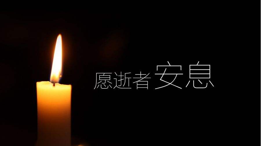 妖精的尾巴灭龙魔导士有多少人,妖尾灭龙魔导士为什么需要猫