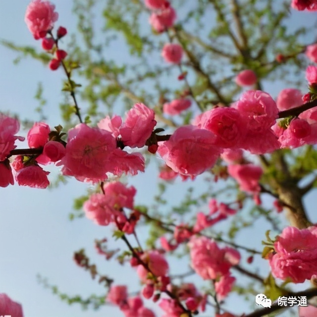 合肥八中校长来合肥高新区,合肥八中老校长