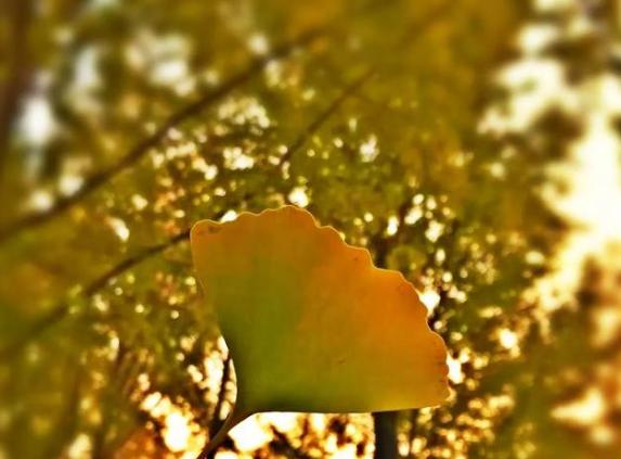 李阳民,李阳民撰七律