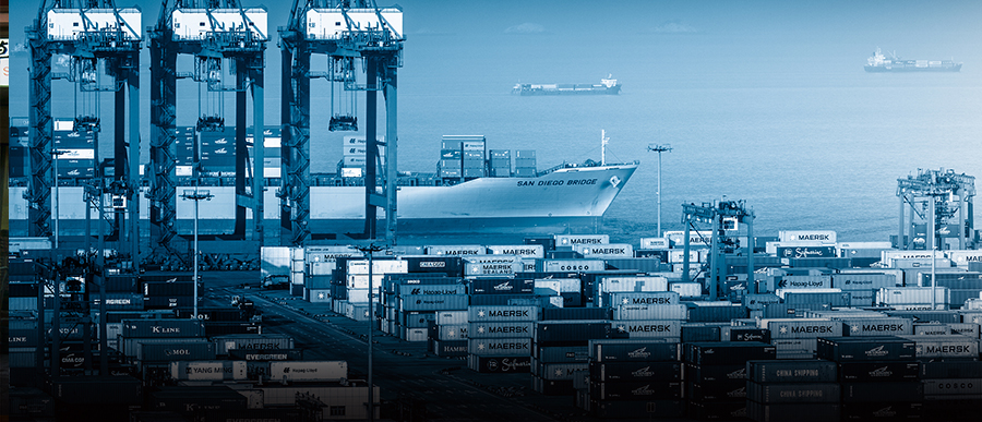 蛇口为什么是富人区,蛇口为什么取名蛇口