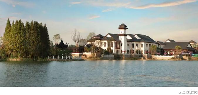 蓝城集团是否为500强,蓝城房地产集团简介