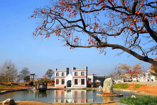 2019合阳县旅游文化,合阳文化旅游视频