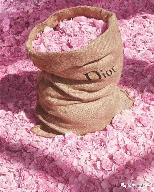 迪奥小姐爱与玫瑰展览吴谨言,迪奥小姐爱与玫瑰晚会