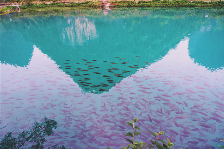 广西美如仙境的地方,德天瀑布在广西哪个县门票多少钱