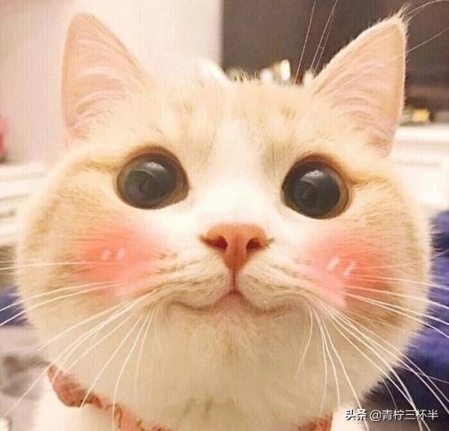 拉拉手就可能怀孕，都已经9102年了，孩子们的性教育应该前进了