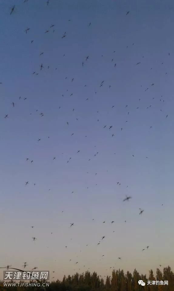 津南大学城，还是原来的地方，还是原来的味道