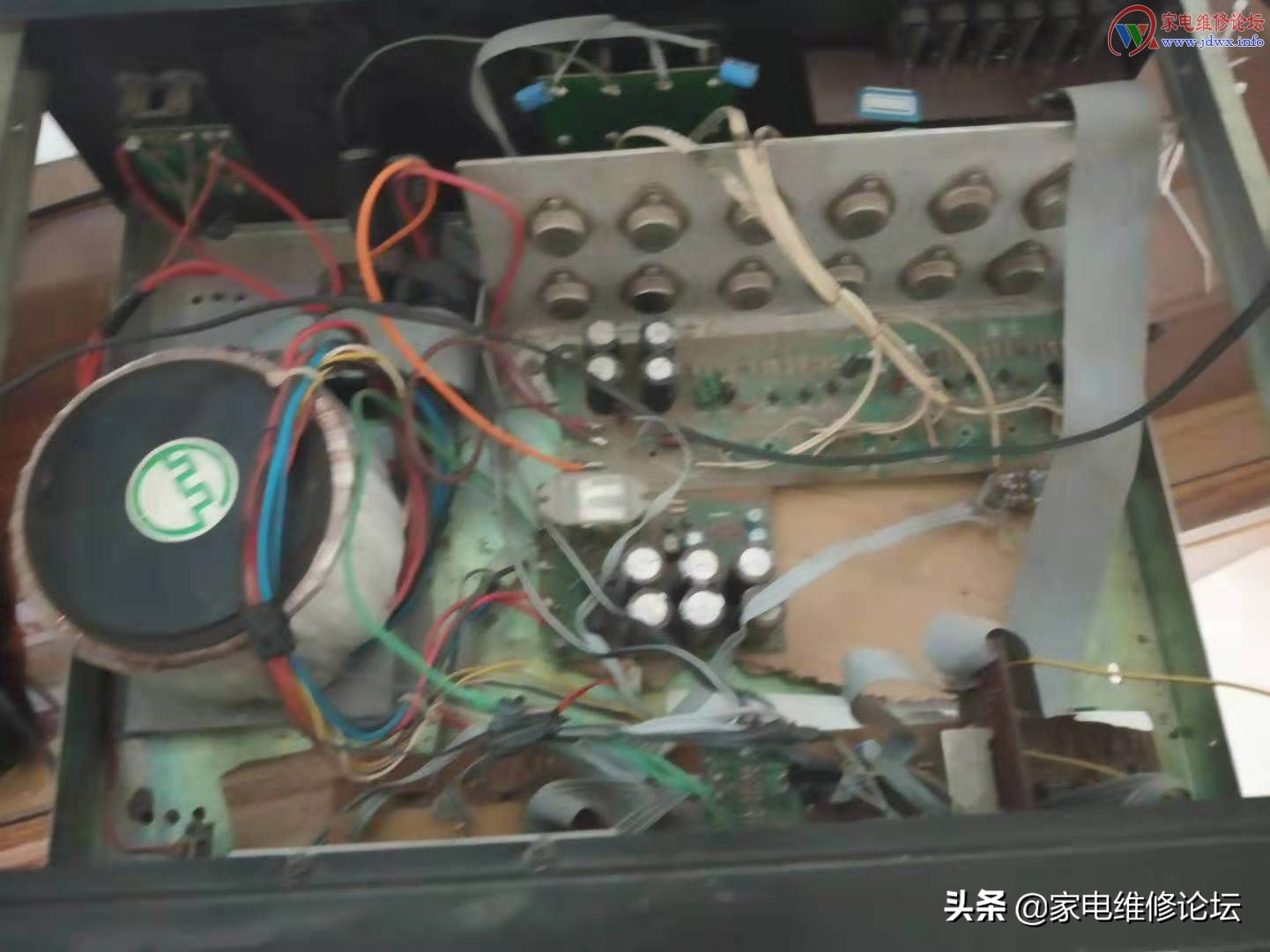 绔嬬櫧鍔熸斁,绔嬬櫧鍔熸斁鎺ㄨ崘