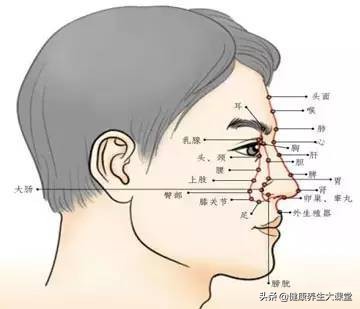 面诊、眼诊、鼻诊、耳诊、唇诊、舌诊、齿诊图...都收集齐了