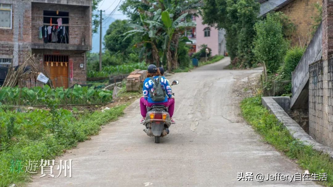 拍贺州｜莲塘镇大山深处的“一号基地”