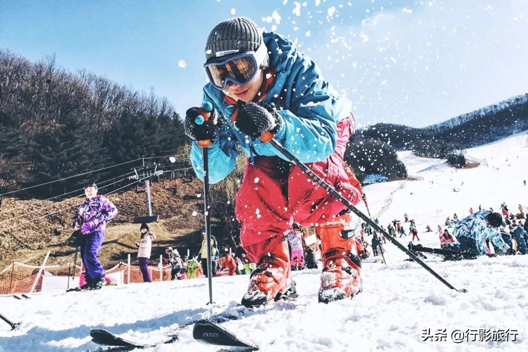 东北人是如何评价日本人的,作为东北人你怎么评价哈尔滨