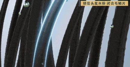 干枯毛躁发质洗发水国货,发质毛躁干枯护发洗发水