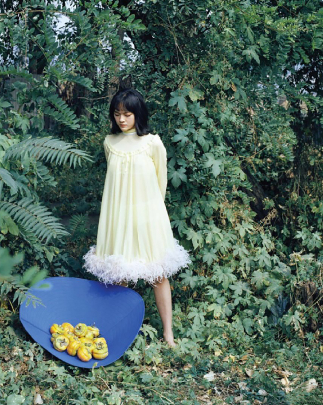 娱乐圈6位当红小花大PK,谁是你心中的最佳MiuMiu少女?