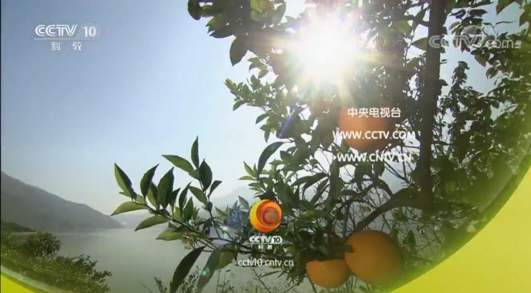 走近科学童年阴影,童年阴影走近科学停播了吗