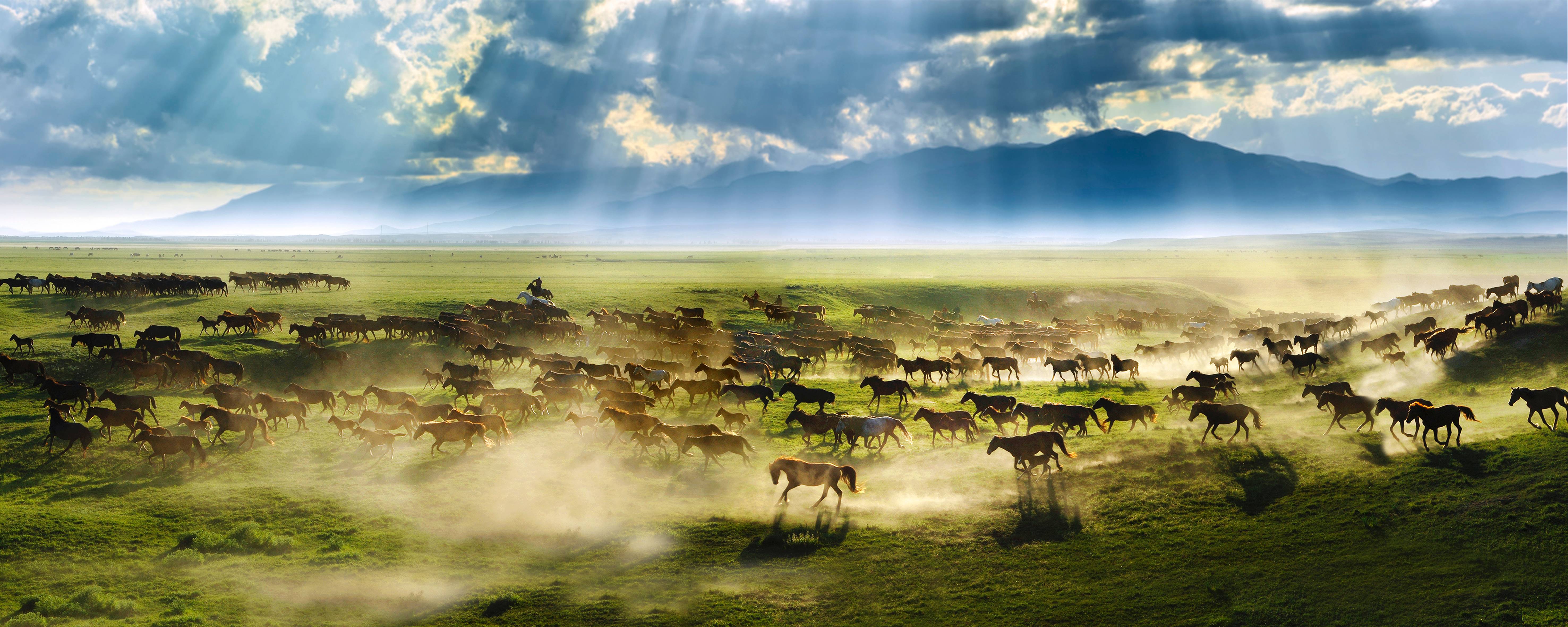 七月份去坝上,7月份去坝上会下雨吗