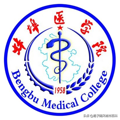 安徽省蚌埠市有哪些大学,蚌埠市大学