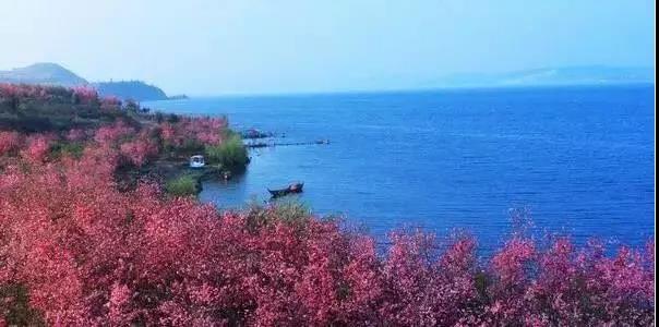 春暖花开|岁月悠悠.漫步时光栈道