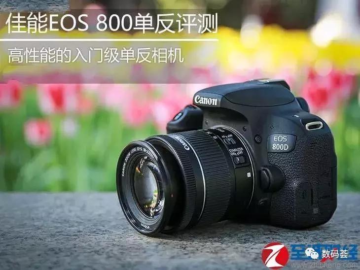 佳能入门级单反eos800d怎么样,佳能800d与尼康800d哪个好
