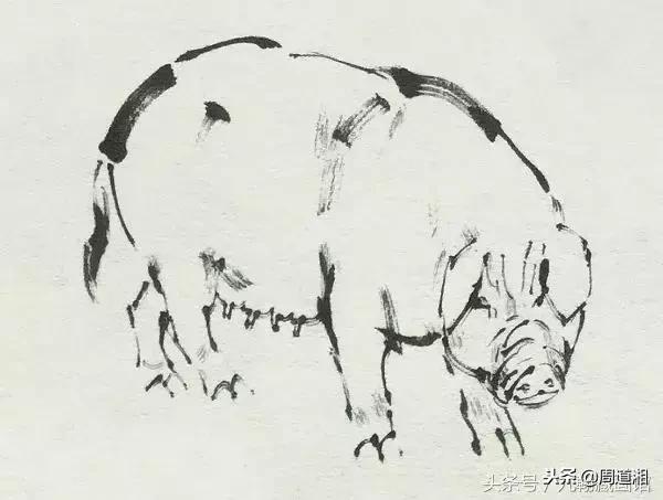 国画工笔猪图片,大写意画猪国画作品