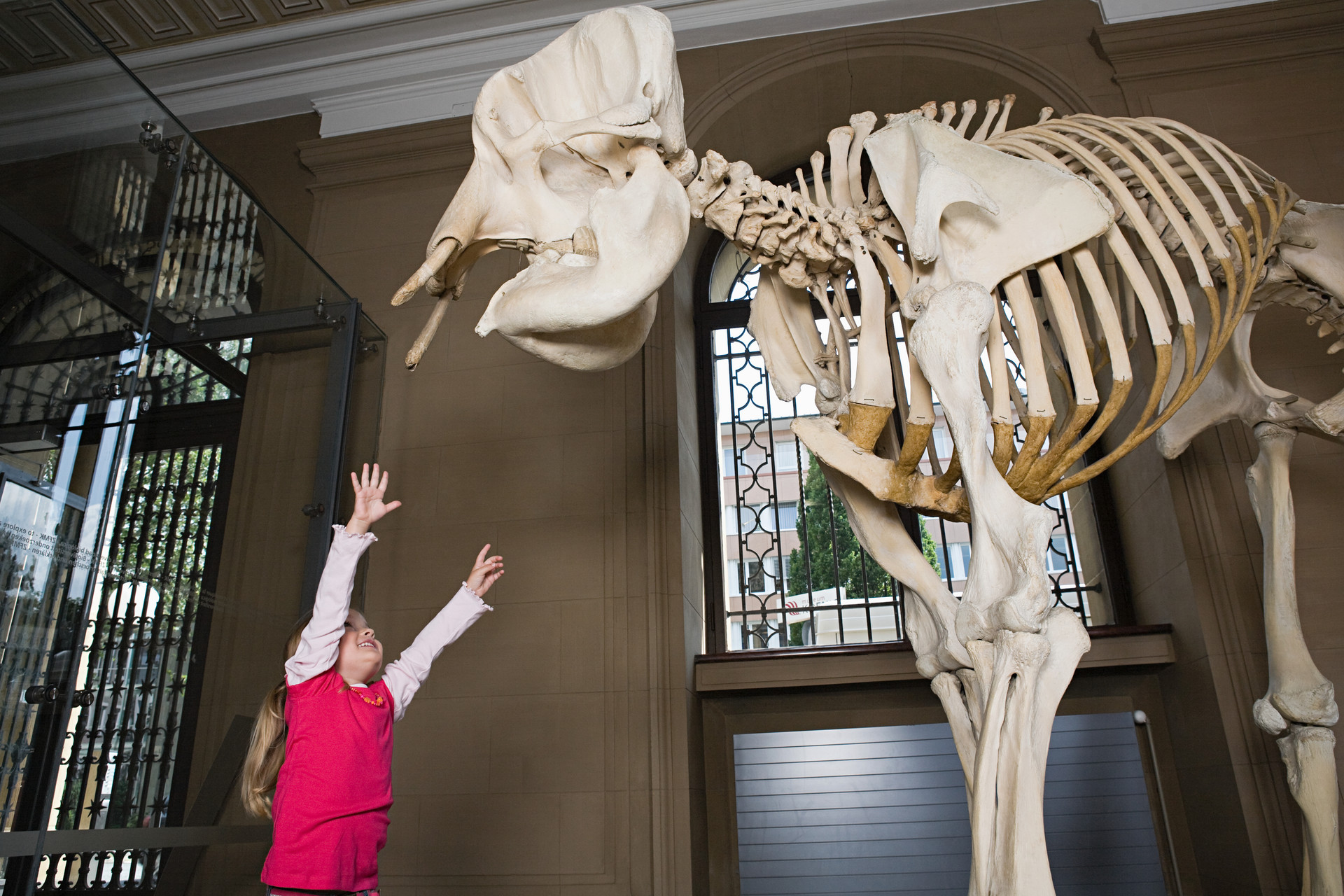 小学生发现11枚恐龙蛋化石,十岁男孩发现恐龙蛋化石