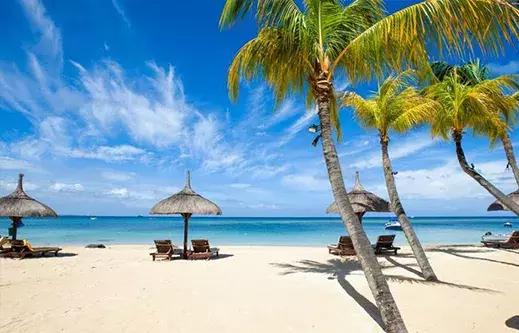 白本护照出境法国旅游免签吗,白本护照旅游去哪个国家比较好