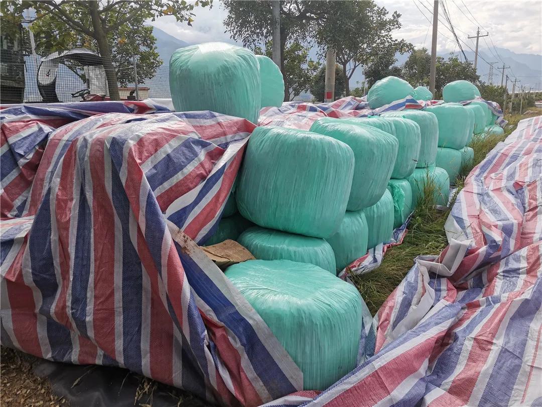 我为农民群众办实事活动方案,秸秆回收再利用变草为宝促增收