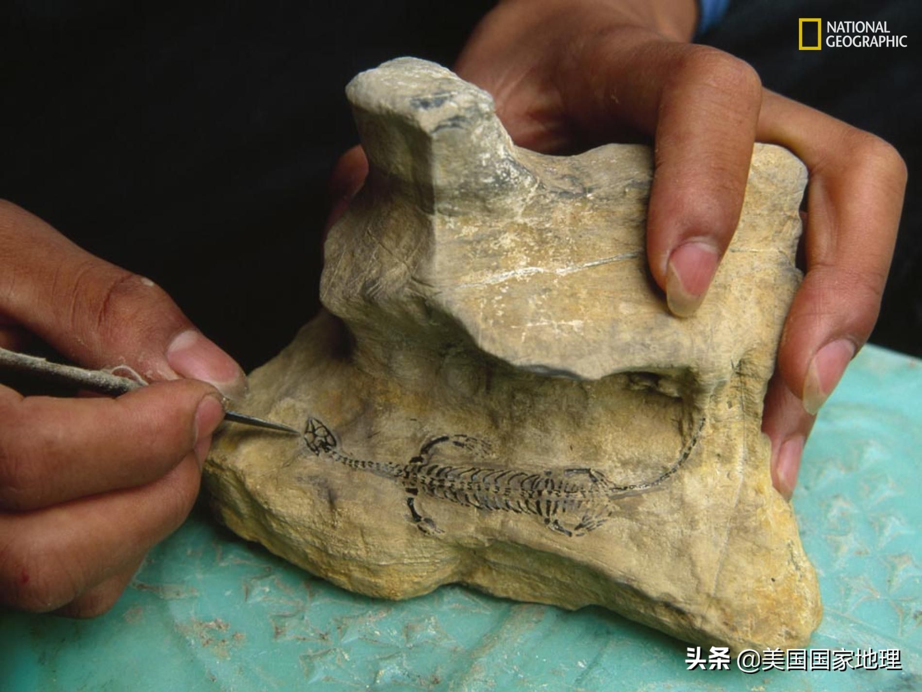 为什么两岁多的小孩得癌症,为什么小孩也得癌症