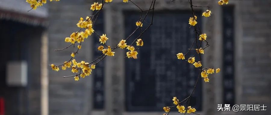 如何克服消极情绪小妙招,如何克服暴怒不良情绪