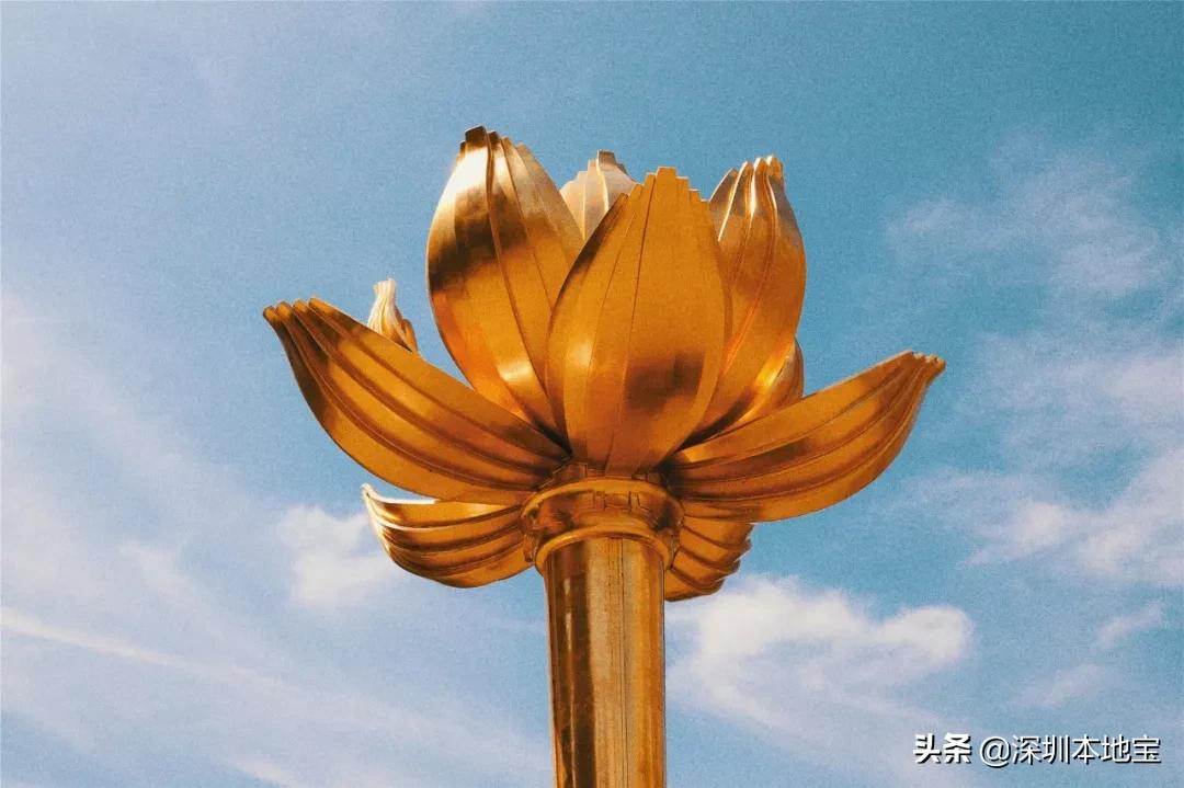 别错过!澳门吃喝玩乐全攻略替你准备好了!深圳出发只需1小时