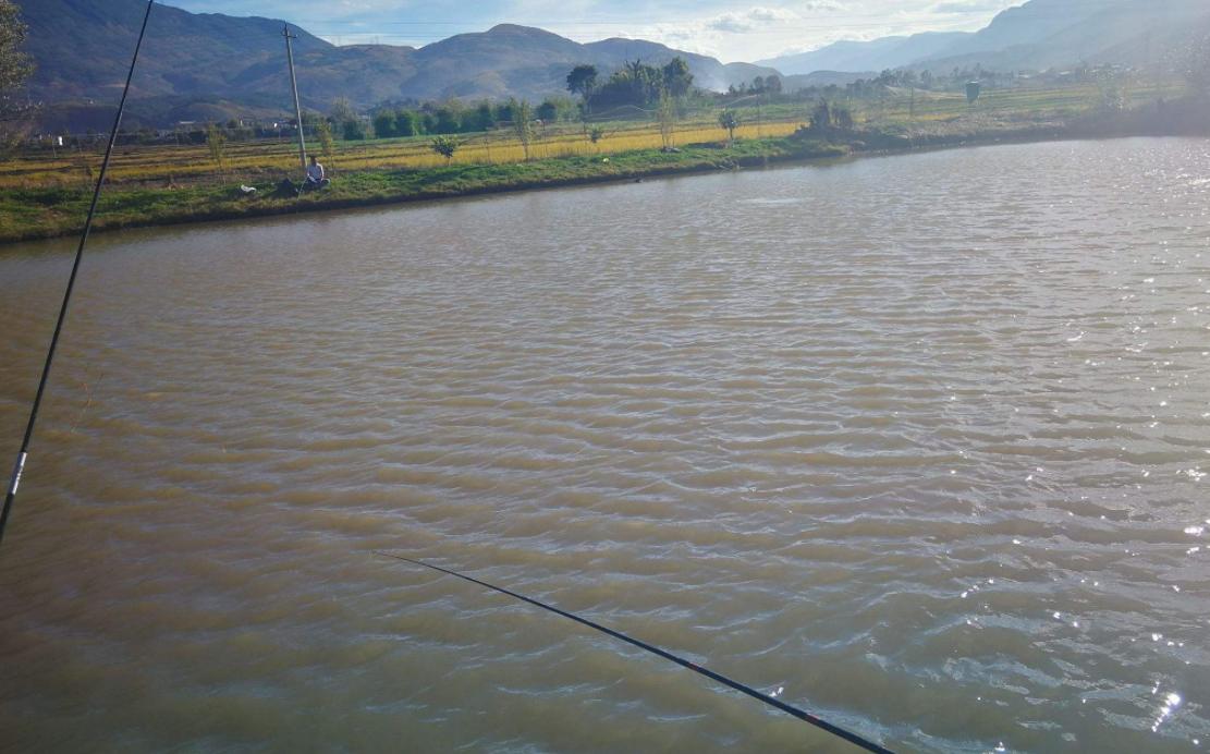 钓鱼学问真多,钓鱼过程中应注意的一些小常识